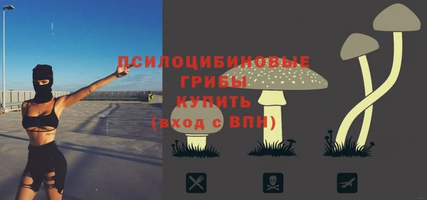 скорость Чекалин