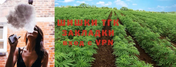 мяу мяу мука Гусь-Хрустальный