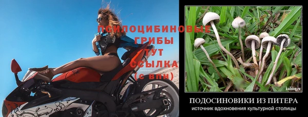 ешки Чердынь