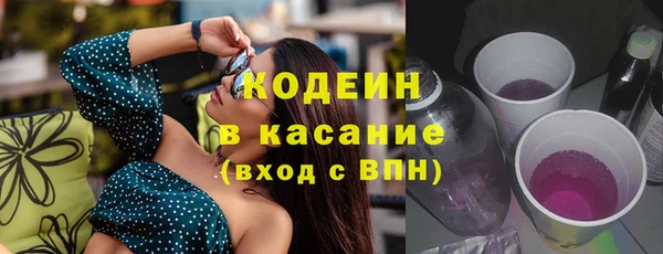 мяу мяу мука Гусь-Хрустальный